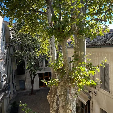 La Charmante Du Palais 2 Chambres Avignon Exterior photo