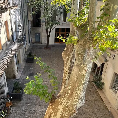 La Charmante Du Palais 2 Chambres Avignon Exterior photo