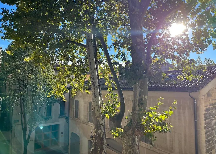 La Charmante Du Palais 2 Chambres