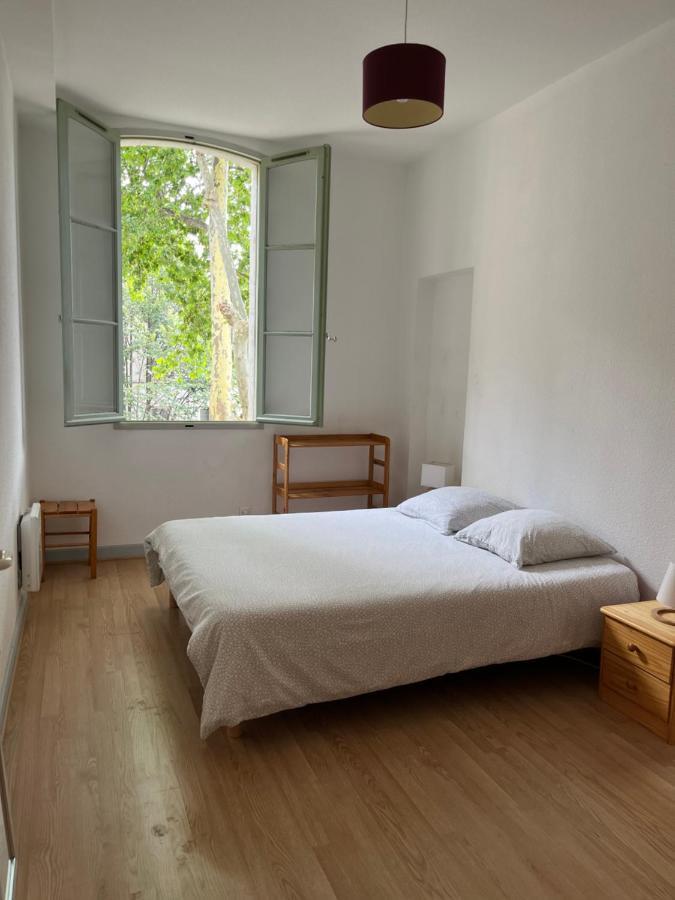 La Charmante Du Palais 2 Apartment Avignon